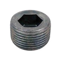 Hex Socket Pipe Plug